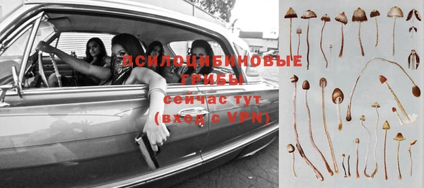 MESCALINE Медвежьегорск
