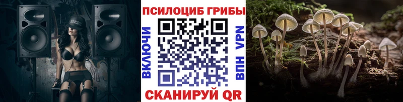 где продают наркотики  Харабали  Псилоцибиновые грибы Psilocybine cubensis 